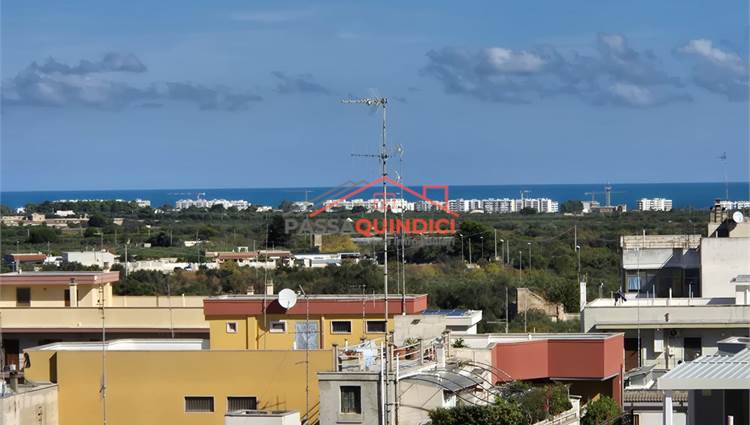 vista