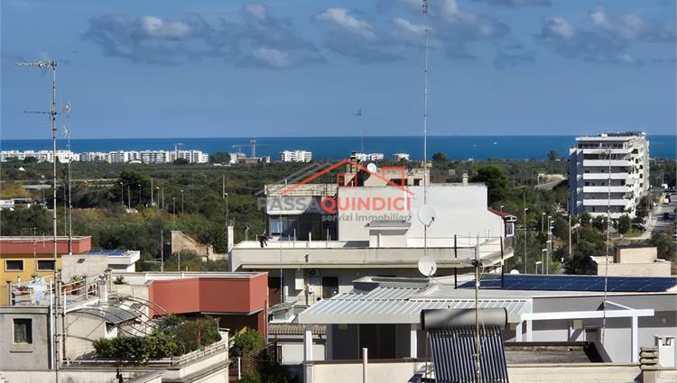 vista